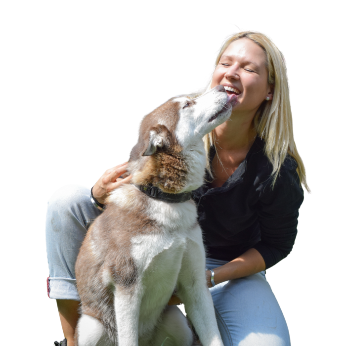 Diseño sin título